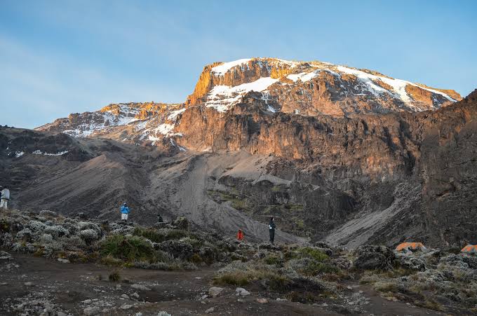 Hike Kilimanjaro and Safari for Christmas and New Year with Peak Climber Safaris