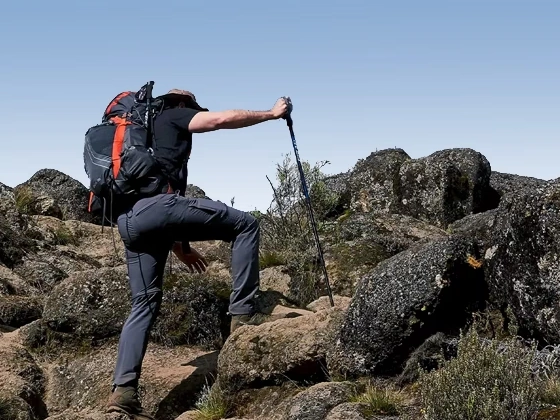 Is Every Case of Diarrhea and Vomiting on Mount Kilimanjaro Caused by Food Poisoning?