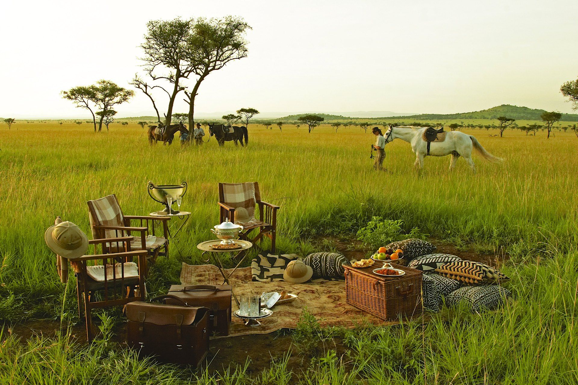 HONEYMOON SAFARI